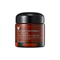 MIZON All in One Snail Repair Cream (75g)