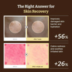 Dr. Reju-All Advanced PDRN Rejuvenating Cream (20g)