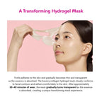 Retino Collagen Small Molecule 300 Pore & Elasticity Mask