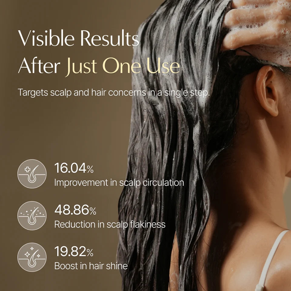 Lilyeve EXOSOME 3D Volume  Brush Shampoo (200ml)
