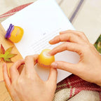 Frudia Lip Balm (10ml)
